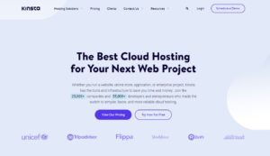 Screenshot of the Kinsta.com homepage