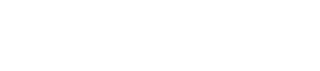 wpbeginner-logo-light-horizontal