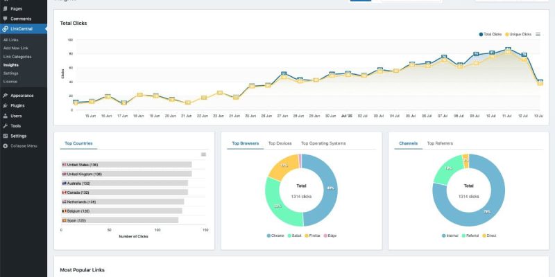 linkcentral-insights-dashboard